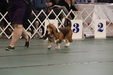 Enlarge photo 155