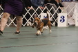 Enlarge photo 152