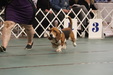 Enlarge photo 151