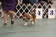 Enlarge photo 149