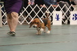 Enlarge photo 148