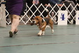 Enlarge photo 146