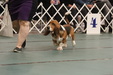Enlarge photo 147