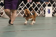 Enlarge photo 145