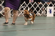 Enlarge photo 144