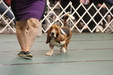 Enlarge photo 143