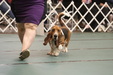 Enlarge photo 142