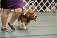 Enlarge photo 135