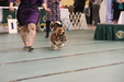 Enlarge photo 123