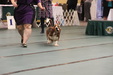 Enlarge photo 122