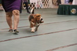 Enlarge photo 117