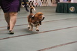 Enlarge photo 114