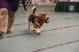 Enlarge photo 113