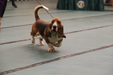 Enlarge photo 108