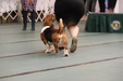 Enlarge photo 109
