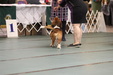 Enlarge photo 102