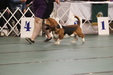 Enlarge photo 99