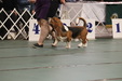 Enlarge photo 98