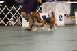 Enlarge photo 97
