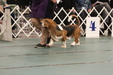 Enlarge photo 92