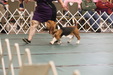 Enlarge photo 80