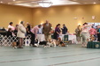 Enlarge photo 78