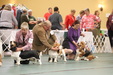 Enlarge photo 73