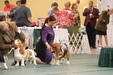 Enlarge photo 68