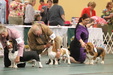 Enlarge photo 69