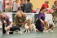 Enlarge photo 66