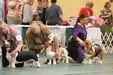 Enlarge photo 67