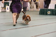 Enlarge photo 58