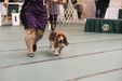 Enlarge photo 56