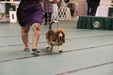 Enlarge photo 54
