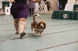 Enlarge photo 53