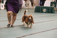 Enlarge photo 49