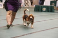 Enlarge photo 50