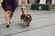 Enlarge photo 48