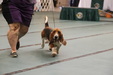 Enlarge photo 47