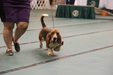 Enlarge photo 46