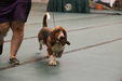 Enlarge photo 40