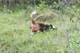 Enlarge photo 33