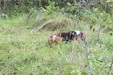 Enlarge photo 32