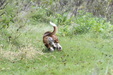 Enlarge photo 29