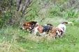 Enlarge photo 30