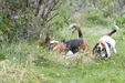 Enlarge photo 28