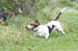 Enlarge photo 27