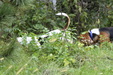Enlarge photo 26