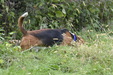 Enlarge photo 25