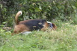 Enlarge photo 24